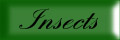 Insect Services