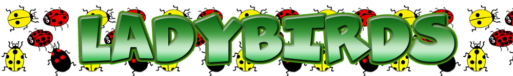 ladybirds
